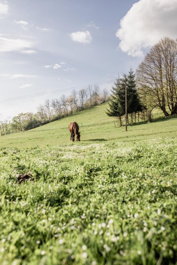 Daszowka Bieszczady Ustrzyki Dolne