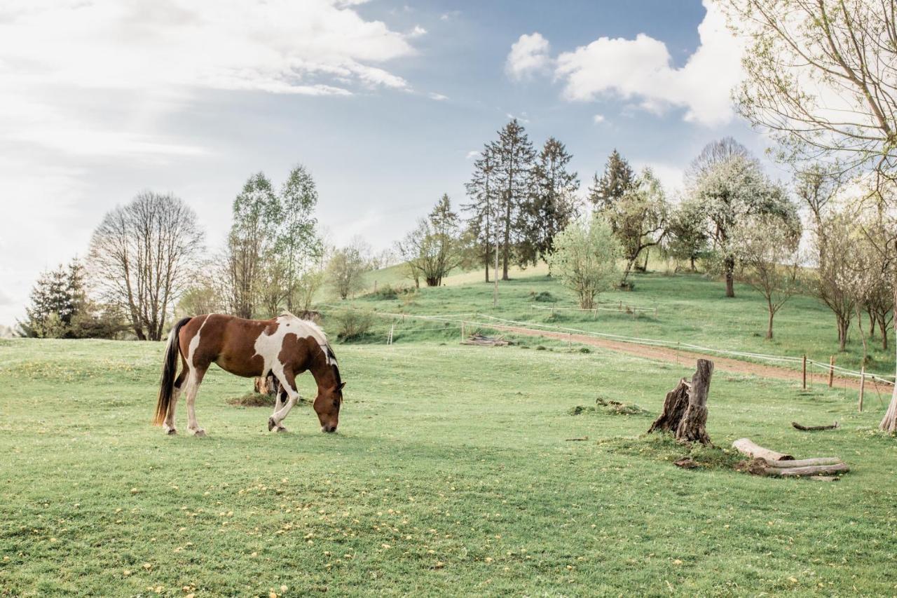 Daszowka Bieszczady
